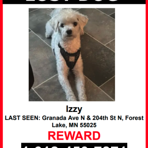 Lost Dog Lizzy