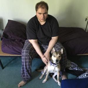 Lost Dog Arielle