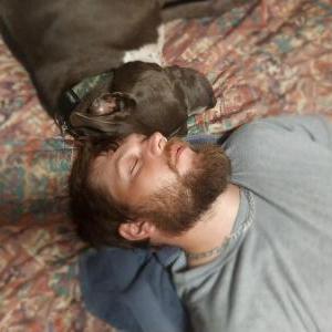 Lost Dog Sire/Denali