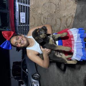 Lost Dog Buck