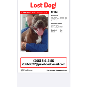 Lost Dog Griffin