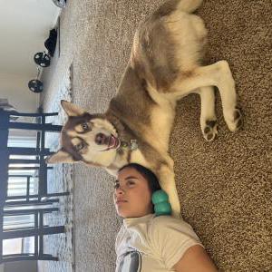 Lost Dog Mikey