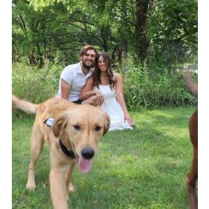 Lost Dog Harvey Paquette