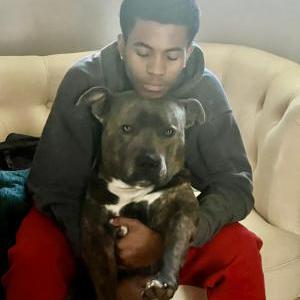 Lost Dog Diamond Roman