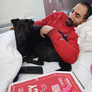 Image of Chevy, Lost Dog