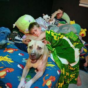 Lost Dog Brandy
