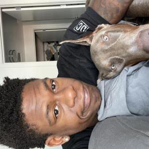 2nd Image of Vice, Lost Dog