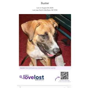 Lost Dog Buster