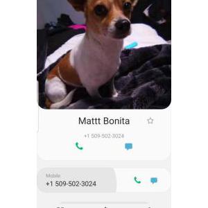 Lost Dog Bonita