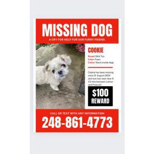 Lost Dog Cookie