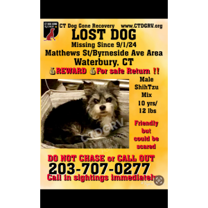 Lost Dog Lil man