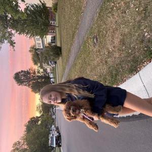 Lost Dog millie