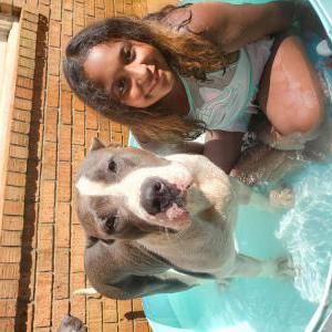 Lost Dog Lilly