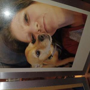 Image of Gunner, Lost Dog