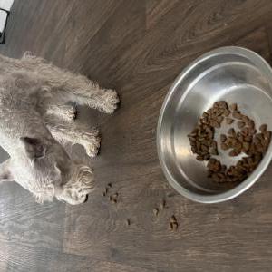Found Dog Whiskey