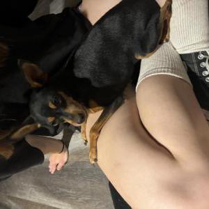 Found Dog Unknown