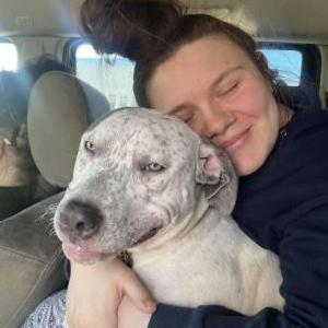 Lost Dog Nala