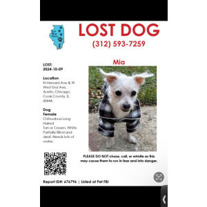 Lost Dog Mia
