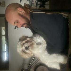 Lost Dog Hector