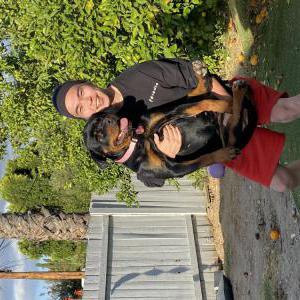 Lost Dog Bonnie