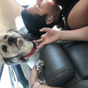 Lost Dog Charlie