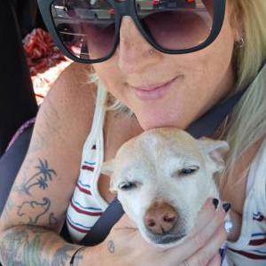 Lost Dog Willow