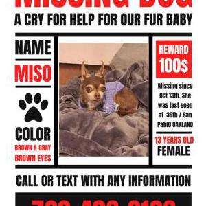 Lost Dog Miso Chorizo