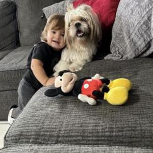 Lost Dog Dinki