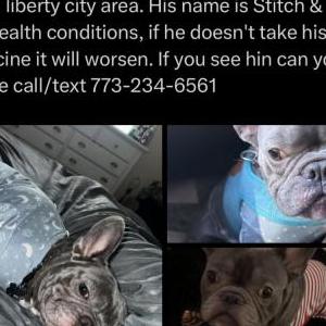 Lost Dog Stitch