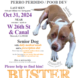 Lost Dog Buster
