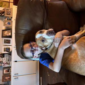 Lost Dog Peach