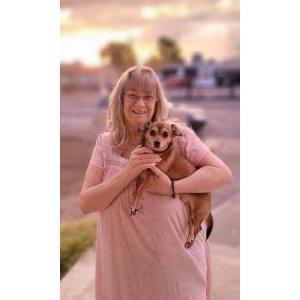 Lost Dog Sawyer
