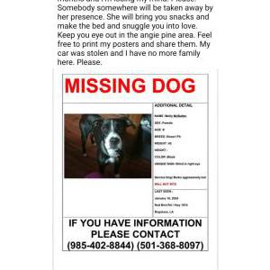 Image of Molly McButter, Lost Dog