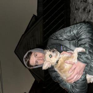 Lost Dog Bambi