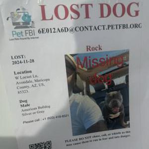 Lost Dog Rock