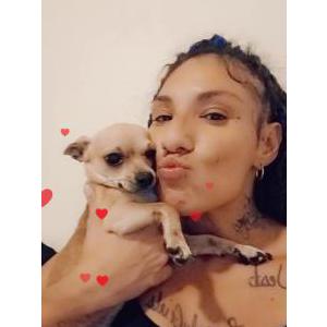 Lost Dog Papi chulo