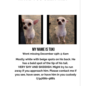 Lost Dog Tuki