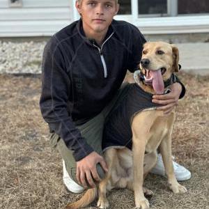Lost Dog Toby