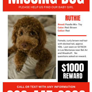 Image of Ruthie, Lost Dog