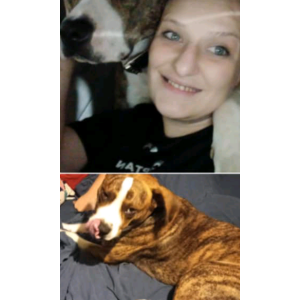 Image of Mane, Lost Dog