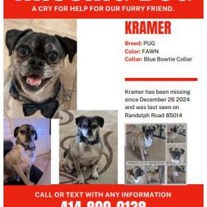 Lost Dog Kramer