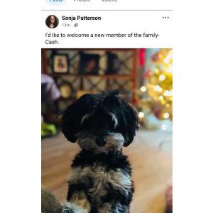 Lost Dog Cash