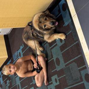 Lost Dog Aslan