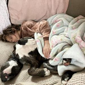 Lost Dog Muppy