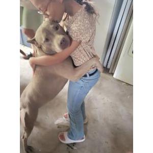 Lost Dog Zula
