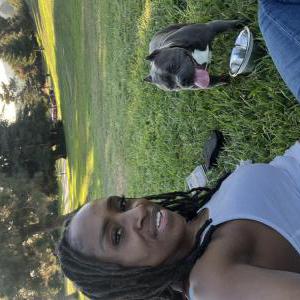 Lost Dog Draco