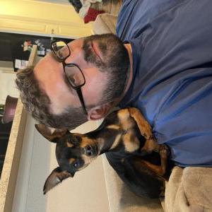 Lost Dog Zain LaDew