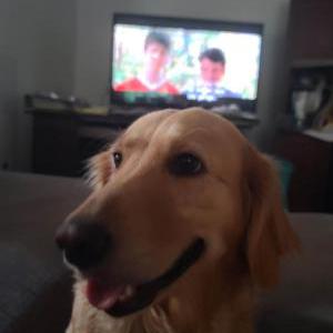 Lost Dog Laura