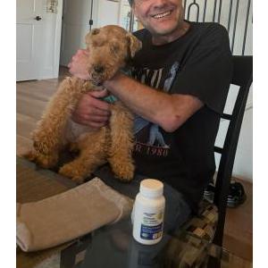 Image of Missy, Lost Dog