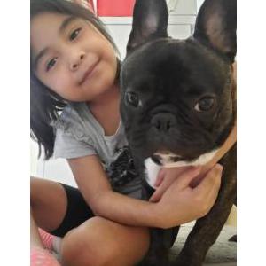 Lost Dog Gucci